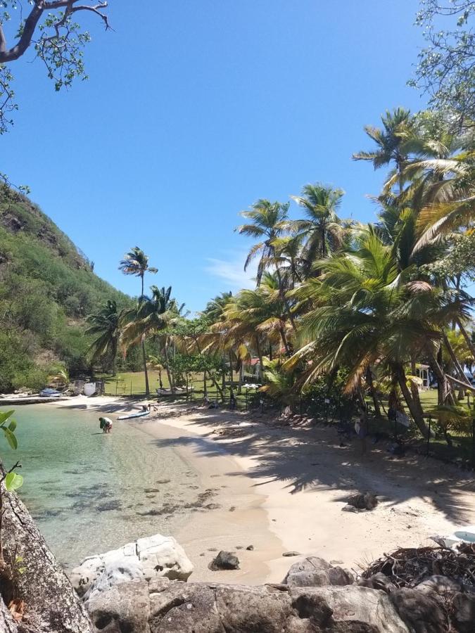 Studio 1 - Grande Anse - 4 Pers - Proche Bourg 豪特尔 外观 照片