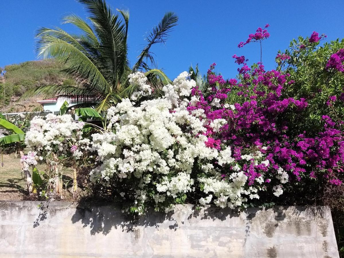 Studio 1 - Grande Anse - 4 Pers - Proche Bourg 豪特尔 外观 照片